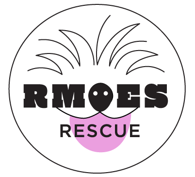 RMOESR Logo