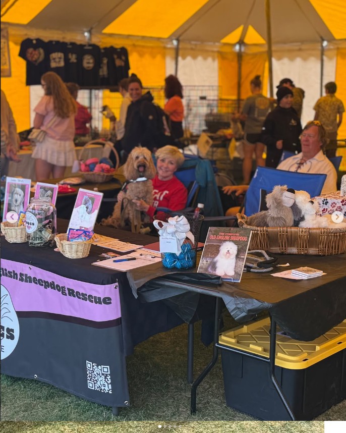 The RMOESR booth at the Longs Peak Scottish Irish Festival